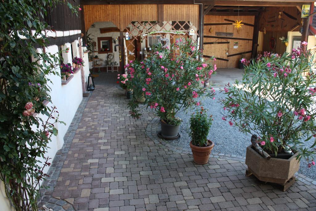 Ferienwohnung Fam. Hoehn كابل غرافنهاوسن المظهر الخارجي الصورة