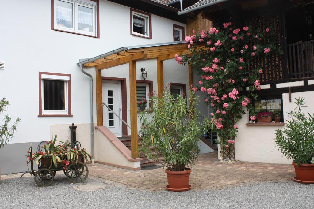 Ferienwohnung Fam. Hoehn كابل غرافنهاوسن المظهر الخارجي الصورة